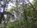 Tn 0503 DSC 5822